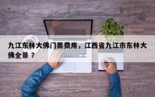 九江东林大佛门票费用，江西省九江市东林大佛全景 ？