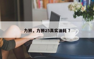 力狮，力狮25真实油耗 ？