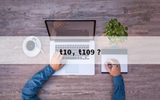 t10，t109 ？