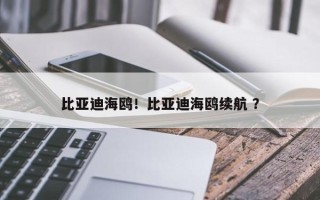 比亚迪海鸥！比亚迪海鸥续航 ？