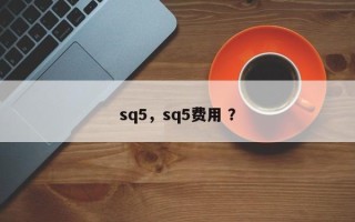 sq5，sq5费用 ？