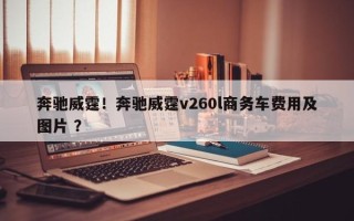 奔驰威霆！奔驰威霆v260l商务车费用及图片 ？