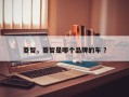 菱智，菱智是哪个品牌的车 ？