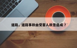 道路，道路事故由受害人故意造成 ？