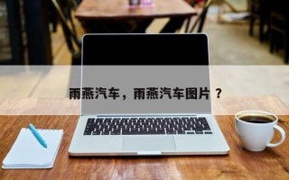 雨燕汽车，雨燕汽车图片 ？