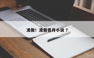 凌傲！凌傲苍月小说 ？