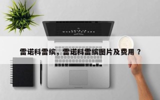雷诺科雷缤，雷诺科雷缤图片及费用 ？