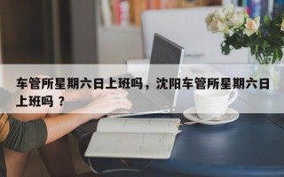 车管所星期六日上班吗，沈阳车管所星期六日上班吗 ？