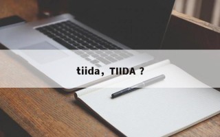 tiida，TIIDA ？
