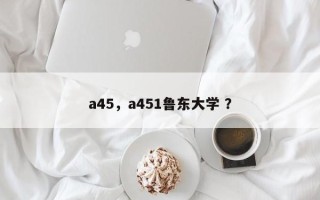 a45，a451鲁东大学 ？