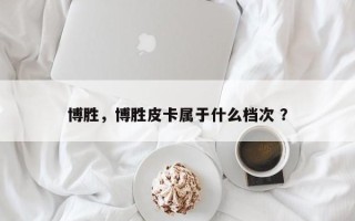 博胜，博胜皮卡属于什么档次 ？