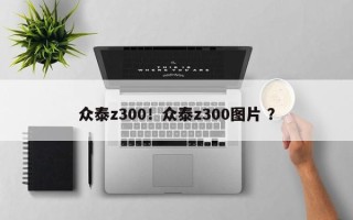 众泰z300！众泰z300图片 ？