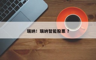 瑞纳！瑞纳智能股票 ？