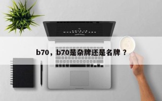 b70，b70是杂牌还是名牌 ？
