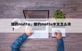 猎豹mattu，猎豹mattu中文怎么读 ？