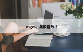 mgzs，美股指数 ？