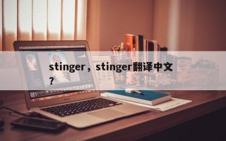 stinger，stinger翻译中文 ？