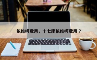 依维柯费用，十七座依维柯费用 ？