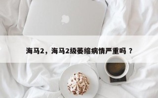 海马2，海马2级萎缩病情严重吗 ？