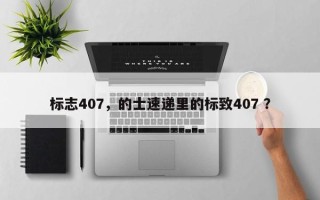 标志407，的士速递里的标致407 ？