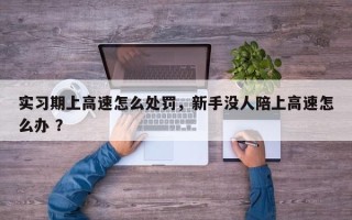 实习期上高速怎么处罚，新手没人陪上高速怎么办 ？