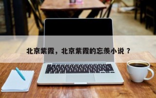 北京紫霞，北京紫霞的忘羡小说 ？