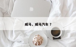 威马，威马汽车 ？