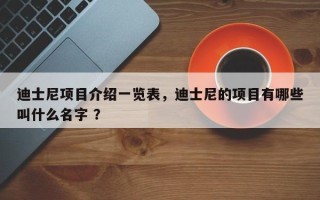 迪士尼项目介绍一览表，迪士尼的项目有哪些叫什么名字 ？
