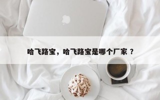 哈飞路宝，哈飞路宝是哪个厂家 ？