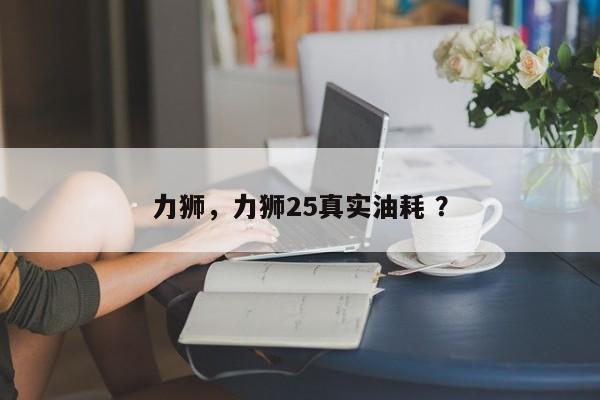 力狮，力狮25真实油耗 ？-第1张图片-二手车资讯网