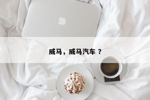 威马，威马汽车 ？-第1张图片-二手车资讯网