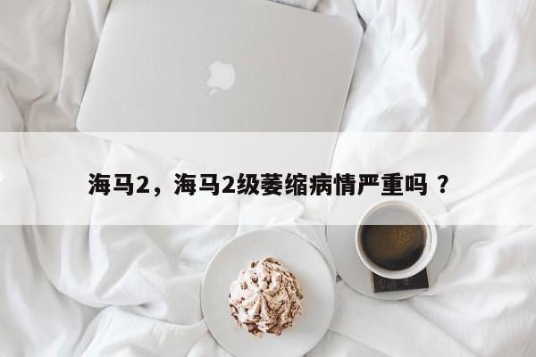 海马2，海马2级萎缩病情严重吗 ？-第1张图片-二手车资讯网