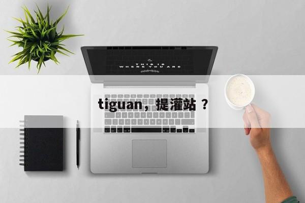 tiguan，提灌站 ？-第1张图片-二手车资讯网