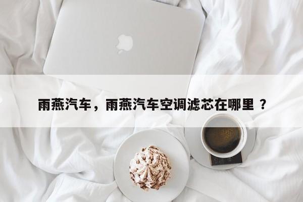 雨燕汽车，雨燕汽车空调滤芯在哪里 ？-第1张图片-二手车资讯网