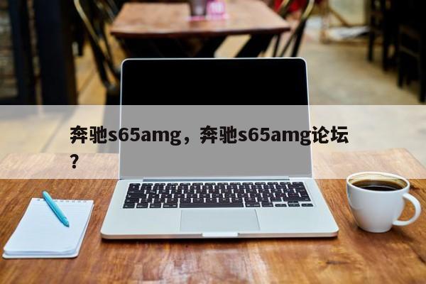 奔驰s65amg，奔驰s65amg论坛 ？-第1张图片-二手车资讯网