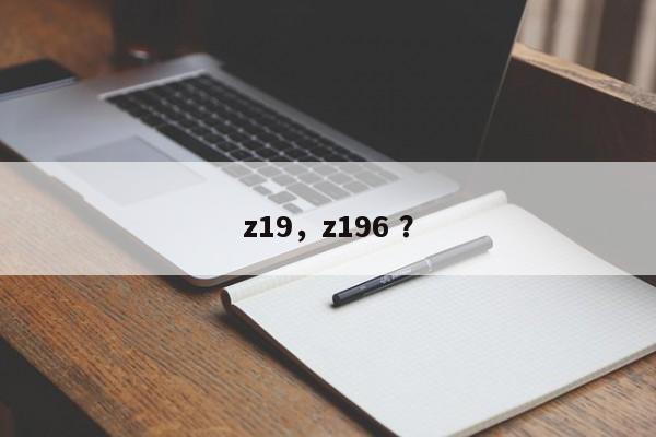 z19，z196 ？-第1张图片-二手车资讯网