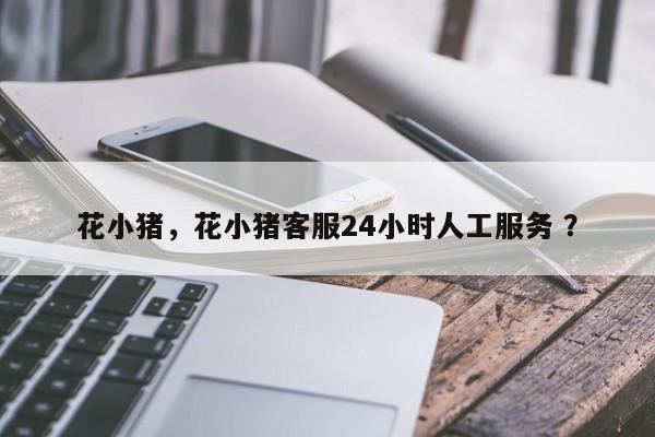 花小猪，花小猪客服24小时人工服务 ？-第1张图片-二手车资讯网