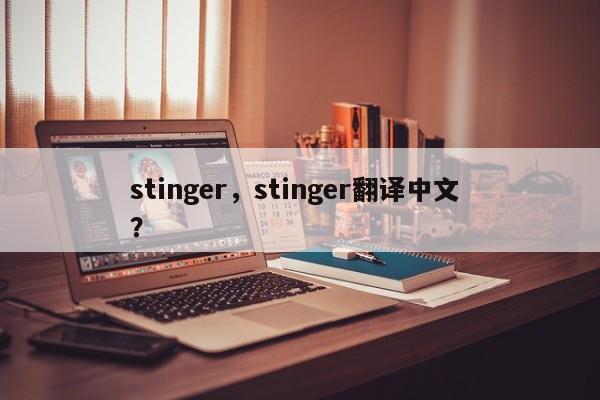 stinger，stinger翻译中文 ？-第1张图片-二手车资讯网