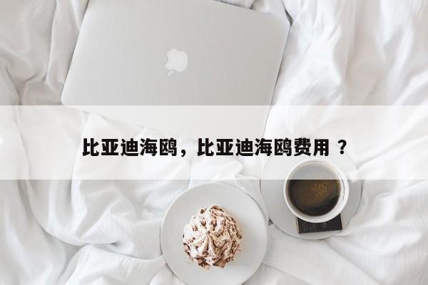 比亚迪海鸥，比亚迪海鸥费用 ？-第1张图片-二手车资讯网