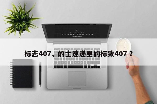 标志407，的士速递里的标致407 ？-第1张图片-二手车资讯网