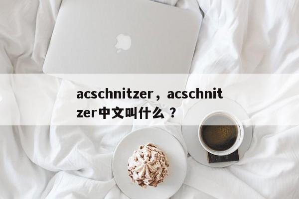 acschnitzer，acschnitzer中文叫什么 ？-第1张图片-二手车资讯网